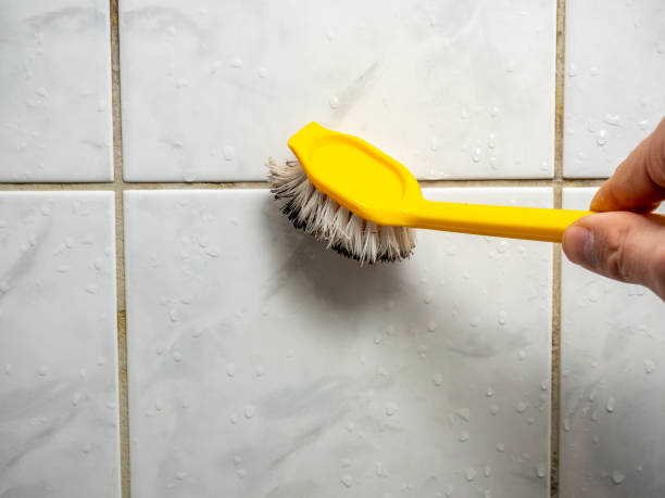 Certified Mold Removal in Robbins, IL