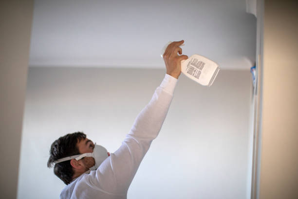 Best Affordable Mold Removal  in Robbins, IL