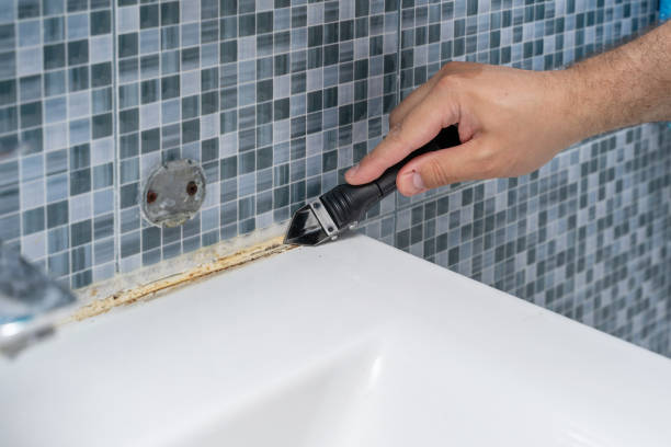 Trusted Robbins, IL Mold Removal Experts