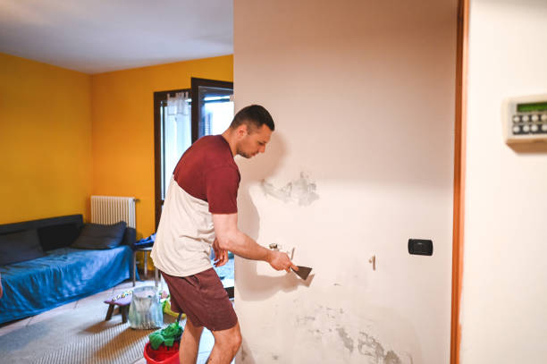 Best Same-Day Mold Removal  in Robbins, IL